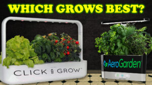 Click & Grow SmartGarden vs Aerogarden