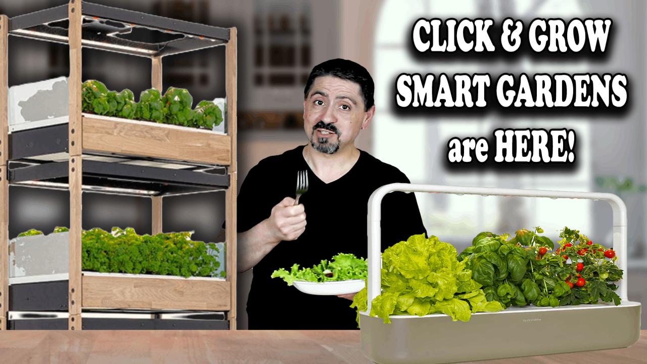 Click and Grow 25 Smart Gardens are Here